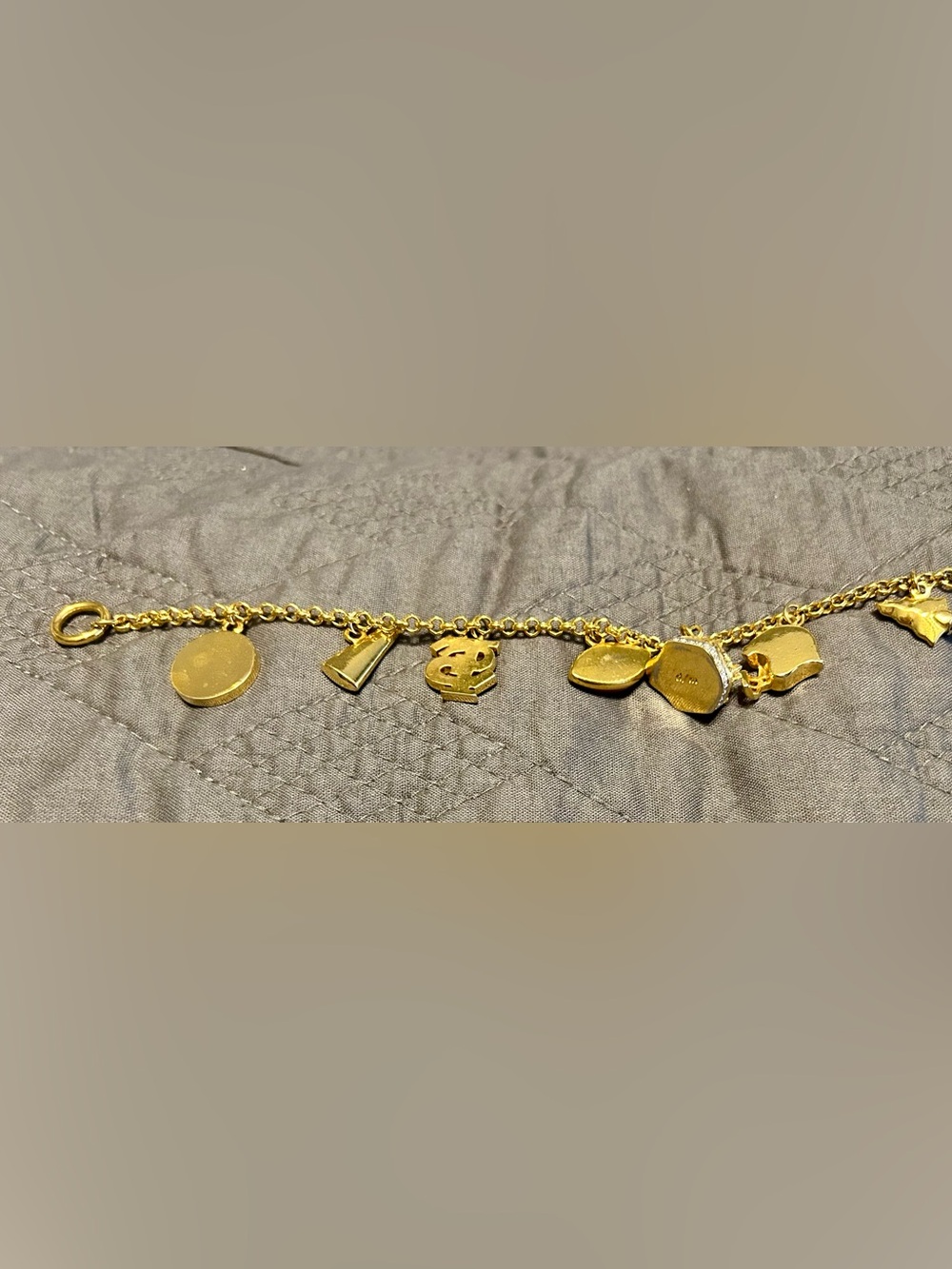Danbury Mint Gold-Tone Enamel Charm Bracelet - Florida State - Picture 5 of 7